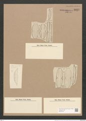 Amphora janischii A. Schm. (de-Toni-Nr.: Genus 36, Species 1578) Zeichnungen Sammlung Grunow Nr. 3027 (NHMW-BOT-W0370415)